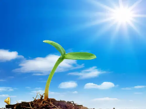 《活在当下 珍爱生命》课件