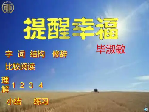 提醒幸福-PPT文档资料