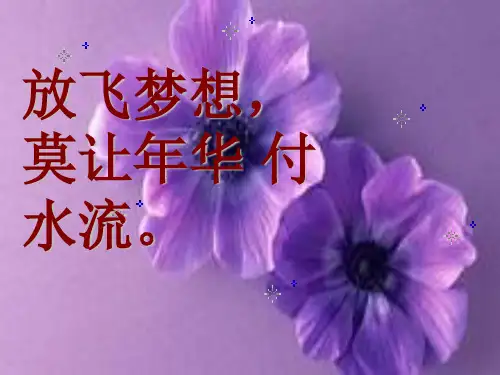 主题班会课件：：梦想奋斗之莫让青春付水流