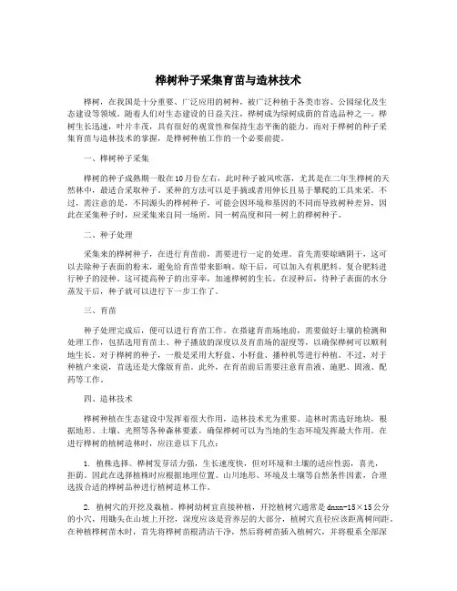 桦树种子采集育苗与造林技术