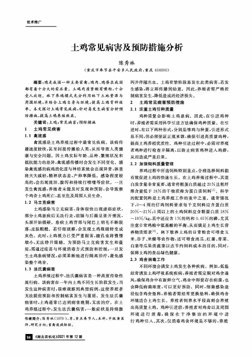 土鸡常见病害及预防措施分析