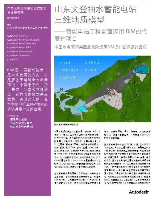 抽水蓄能电站BIM应用