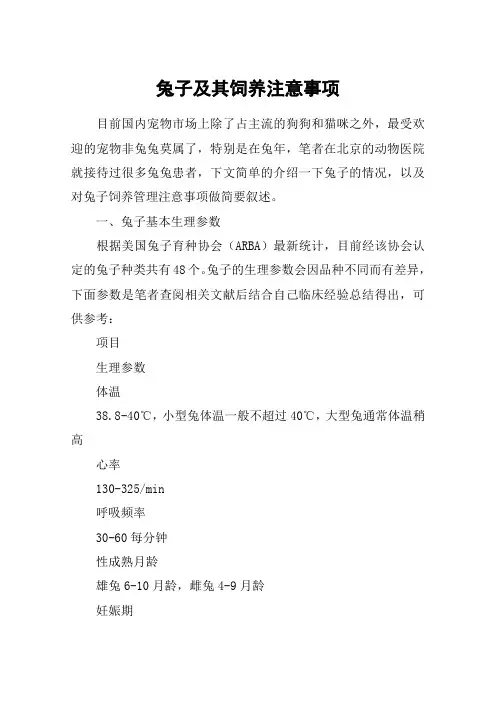 兔子及其饲养注意事项