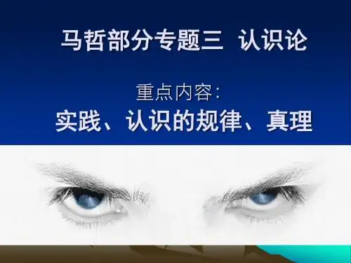 马哲部分专题三 认识论