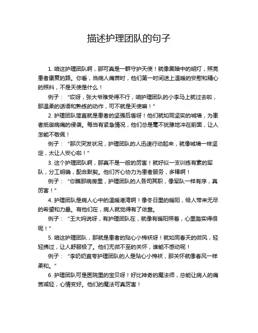 描述护理团队的句子