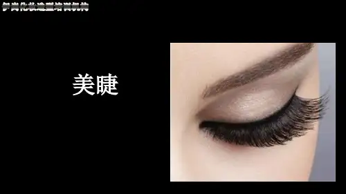 美睫课件