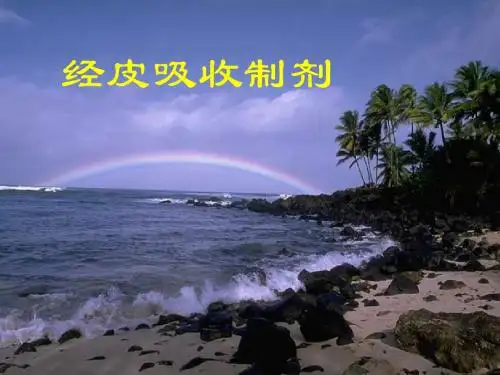 经皮给药系统PPT精选课件