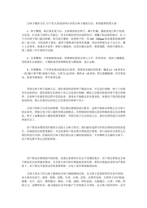 五味子栽培方法(最新)