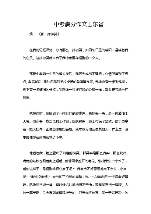 中考满分作文山东省