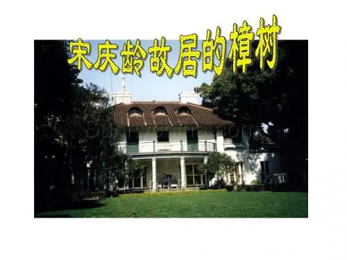 宋庆龄故居的樟树