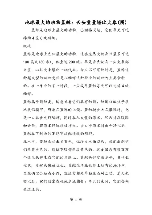 地球最大的动物蓝鲸：舌头重量堪比大象(图)-2019年教育文档