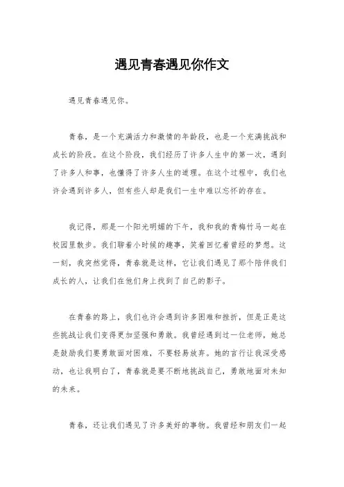 遇见青春遇见你作文