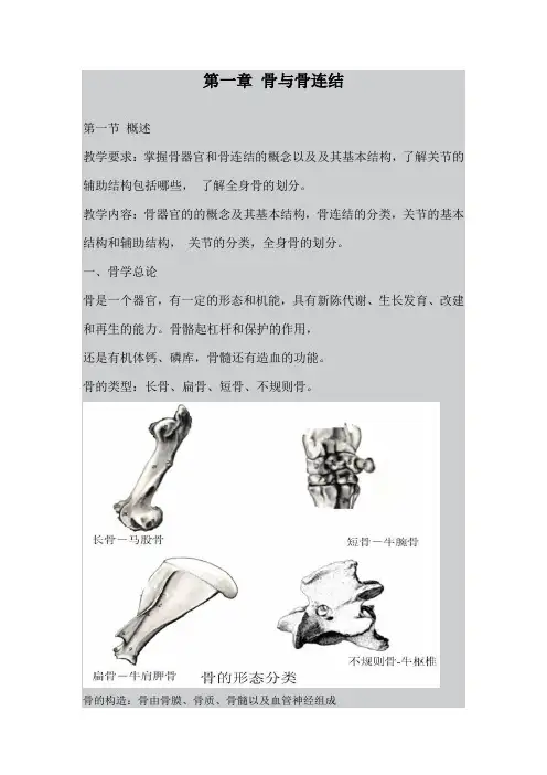 最新整理、吉林动物解剖学教案：第一章骨与骨连结01(农林类)畜牧兽医)