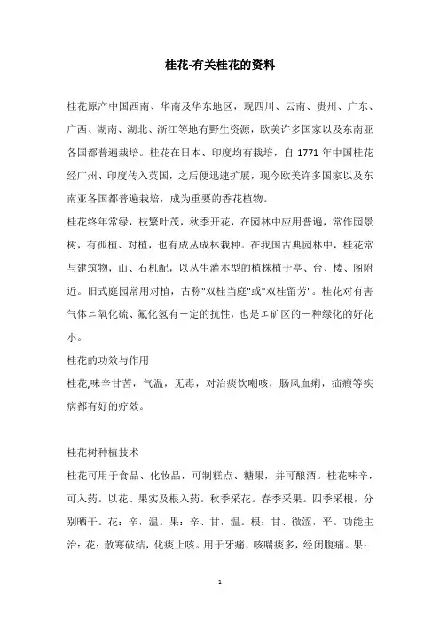 桂花-有关桂花的资料