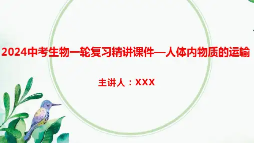 2024中考生物一轮复习精讲课件—人体内物质的运输