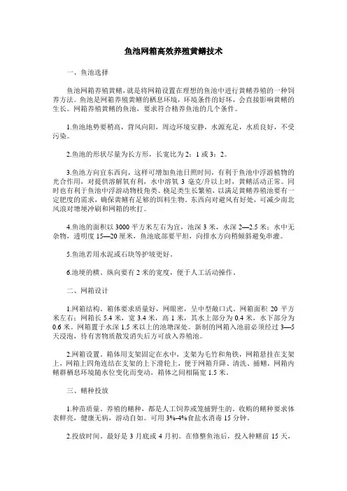 鱼池网箱高效养殖黄鳝技术