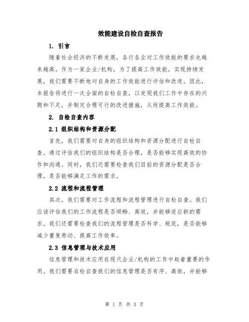 效能建设自检自查报告