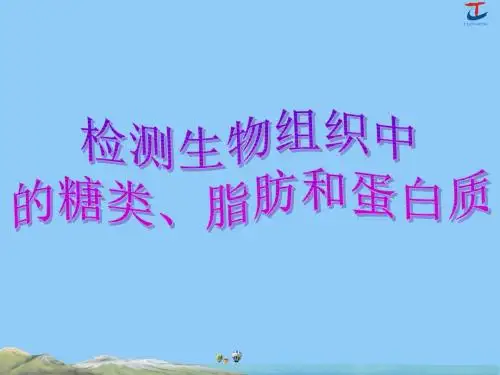 2.检测生物组织中的糖类、脂肪和蛋白质