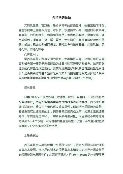 孔雀鱼的极品