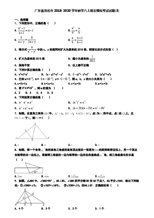 广东省茂名市2019-2020学年数学八上期末模拟考试试题(3)