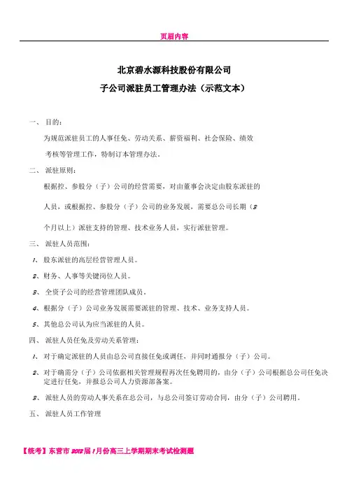 【范本】分子公司派驻员工管理办法范本