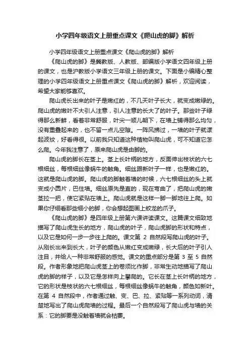 小学四年级语文上册重点课文《爬山虎的脚》解析