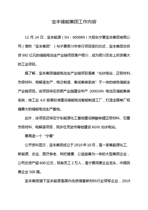 宝丰储能集团工作内容