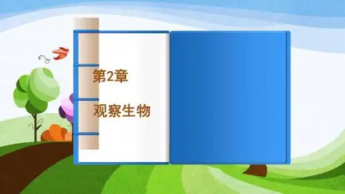 2.4常见的动物(1)