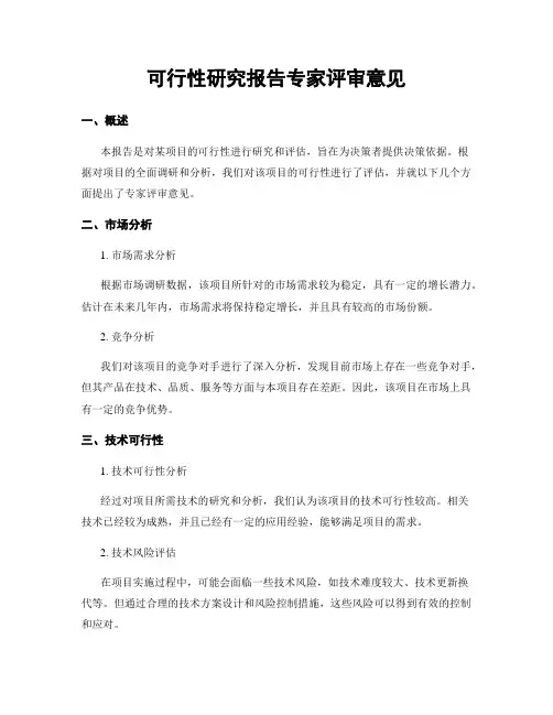 可行性研究报告专家评审意见
