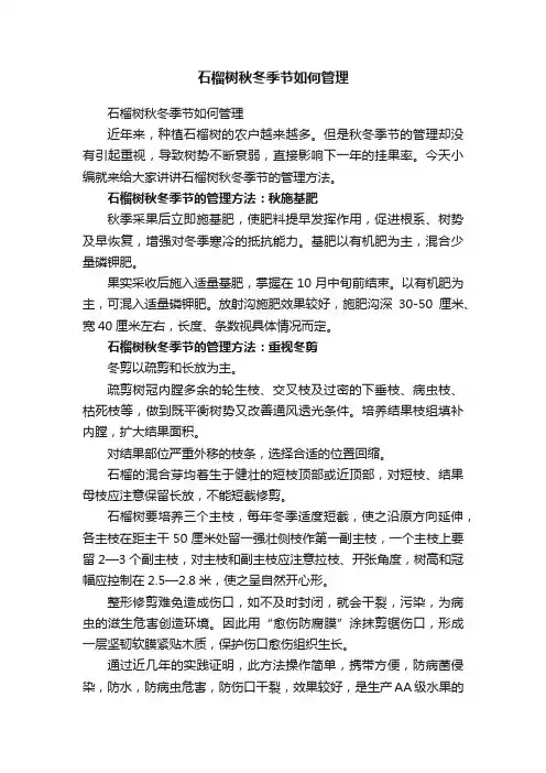 石榴树秋冬季节如何管理