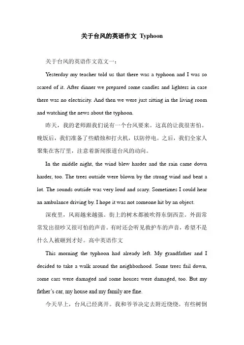 关于台风的英语作文 Typhoon