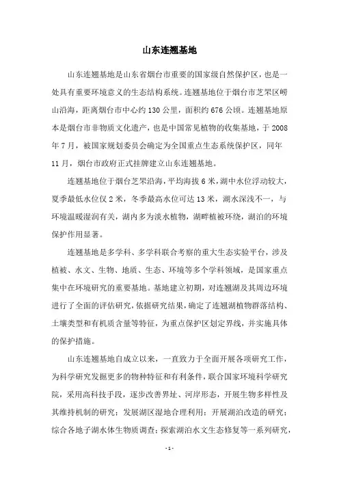 山东连翘基地
