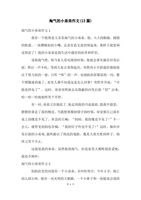 淘气的小弟弟作文(13篇)