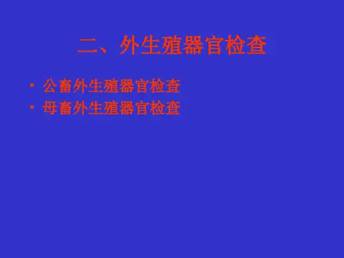 动物医学-临床诊断学《泌尿生殖系统检查-外生殖器官检查》课件