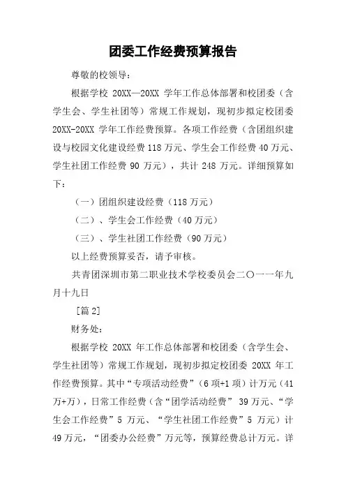 团委工作经费预算报告[工作范文]