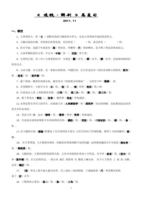 透视.解剖总复习2011.11