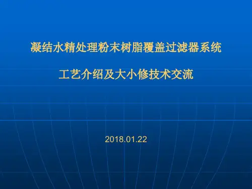 精处理粉末树脂覆盖过滤器工艺介绍及大小修管理技术交流