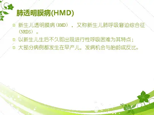 肺透明膜病  ppt课件