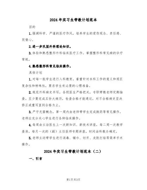 2024年实习生带教计划范本(二篇)
