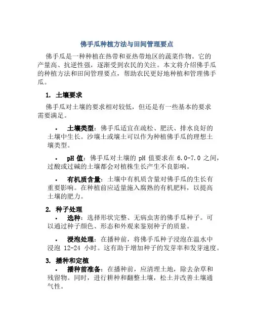 佛手瓜种植方法与田间管理要点