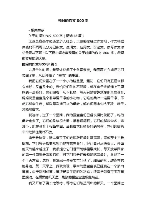 时间的作文800字