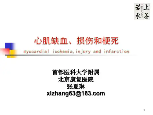 心肌缺血、损伤和梗死