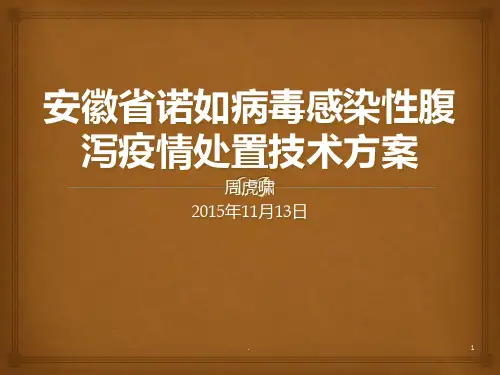 诺如病毒感染性腹泻疫情处置技术