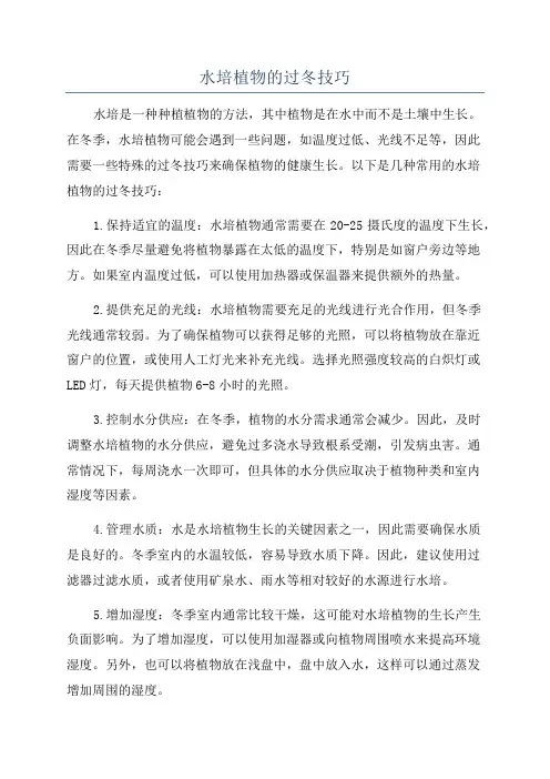 水培植物的过冬技巧