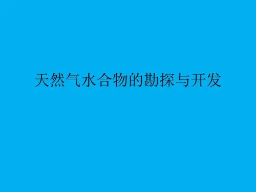 天然气水合物的勘探与开发-终级版