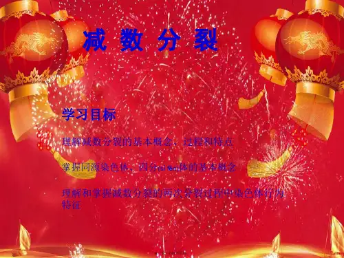 高中生物 第二章 减数分裂和有性生殖 2.减数分裂课件 苏教苏教高一生物课件