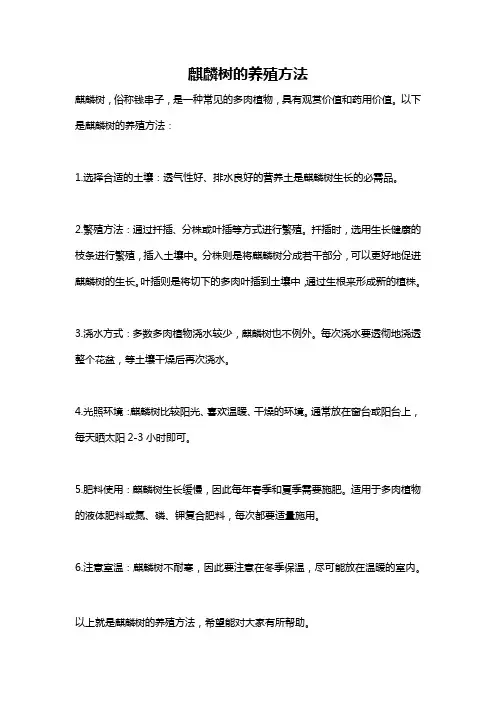 麒麟树的养殖方法