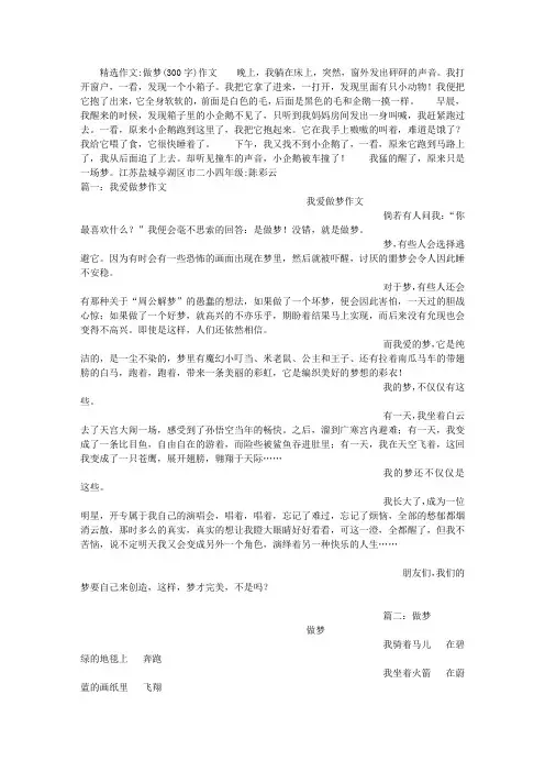 做梦(300字)作文