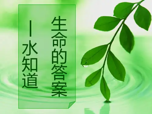 水知道答案 2PPT课件