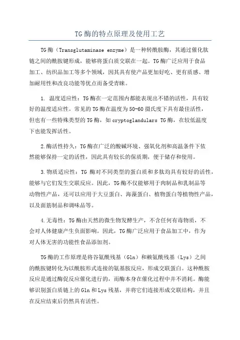 TG酶的特点原理及使用工艺